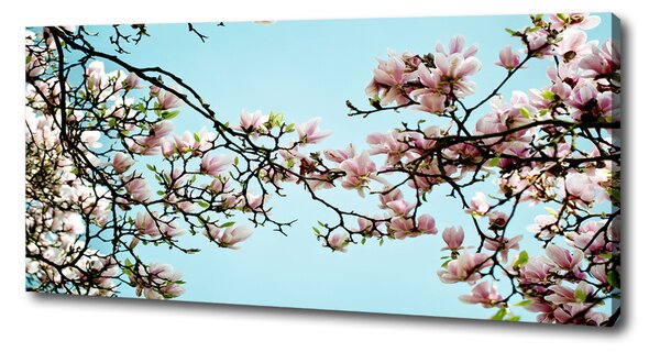 Tablou pe pânză flori magnolia