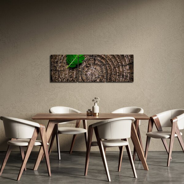 Tablou cu frunză pe trunchi de copac (cu ceas) (90x30 cm)