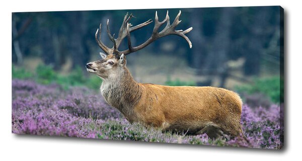 Tablouri tipărite pe pânză Deer de lavandă