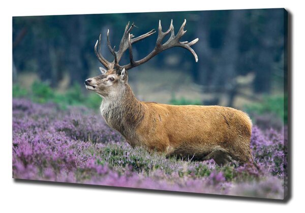 Tablouri tipărite pe pânză Deer de lavandă