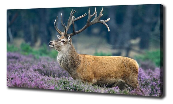 Tablouri tipărite pe pânză Deer de lavandă