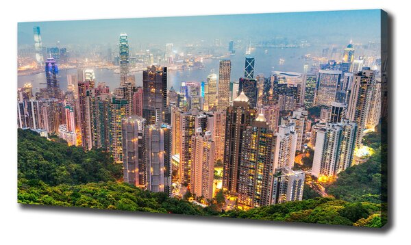 Tablou pe pânză Hong Kong