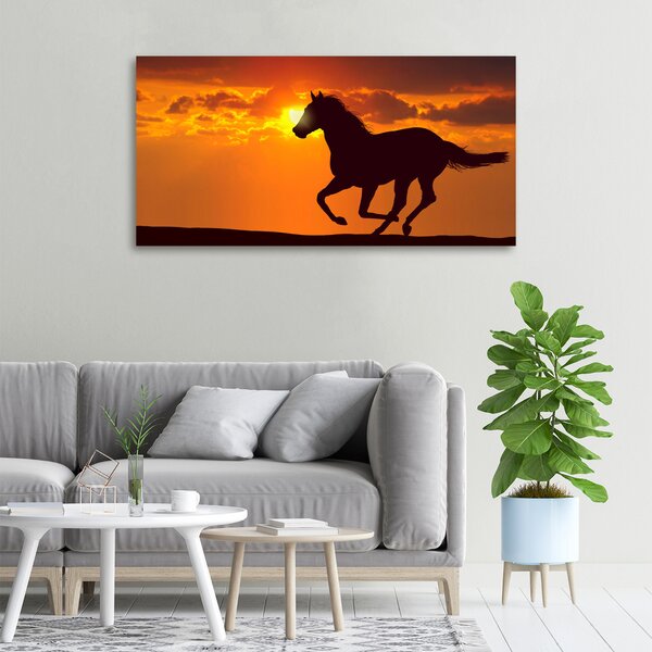 Tablou pe pânză canvas apus de soare cal