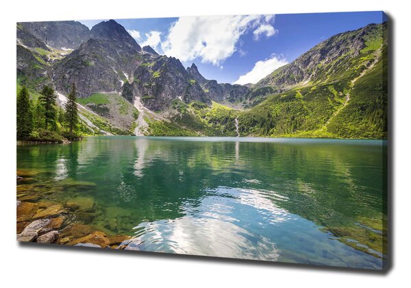 Pictură pe pânză Marine ochi Tatry