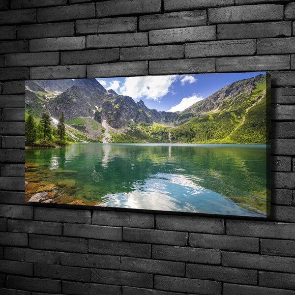 Pictură pe pânză Marine ochi Tatry