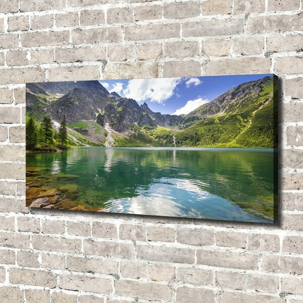 Pictură pe pânză Marine ochi Tatry