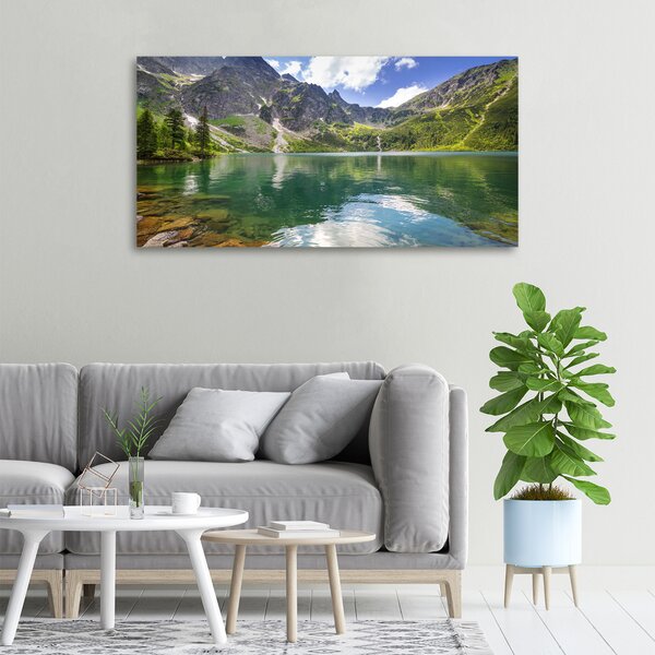 Pictură pe pânză Marine ochi Tatry