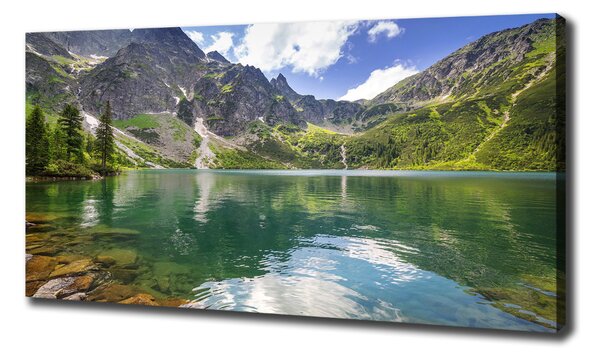 Pictură pe pânză Marine ochi Tatry
