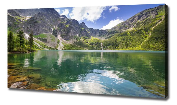 Pictură pe pânză Marine ochi Tatry