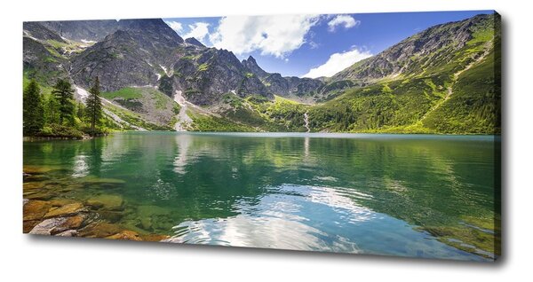 Pictură pe pânză Marine ochi Tatry