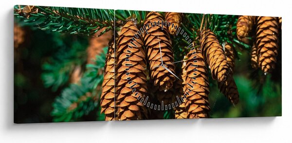 Tablou cu con de brad (cu ceas) (90x30 cm)