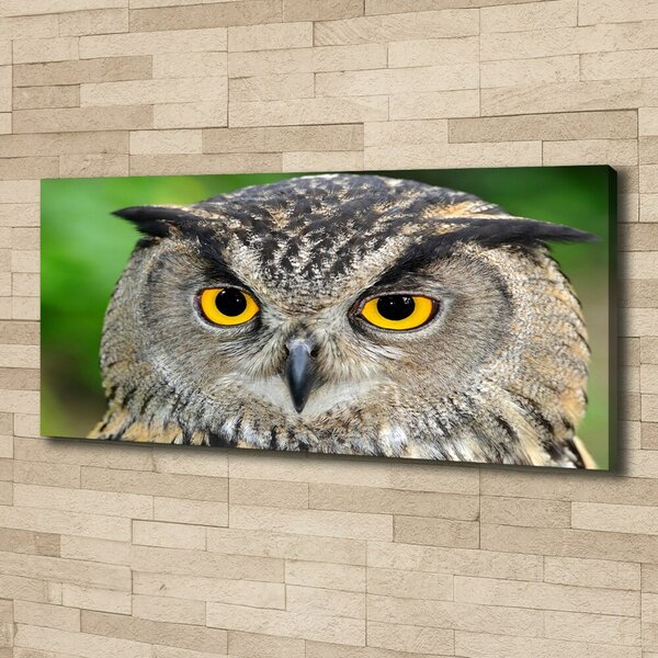 Tablou pe pânză canvas Bufniţă