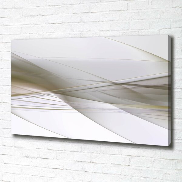 Tablou canvas abstracțiune