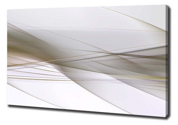 Tablou canvas abstracțiune
