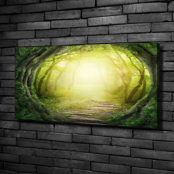 Print pe canvas Tunel de copaci