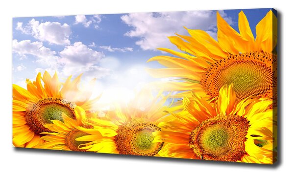 Tablou pe pânză canvas Floarea soarelui