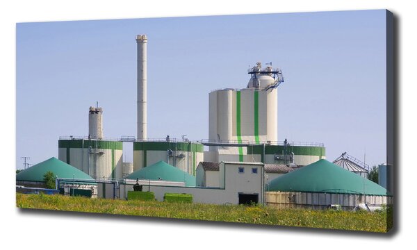 Tablou pe pânză canvas Instalația de biogaz