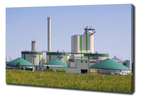 Tablou pe pânză canvas Instalația de biogaz