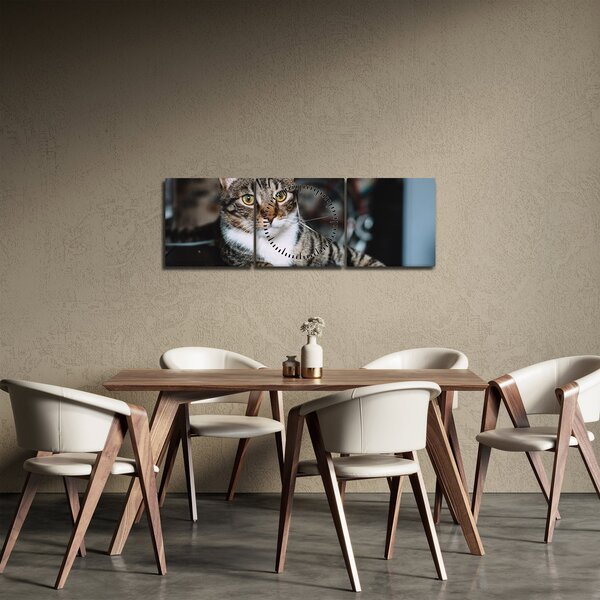 Tablou cu pisica (cu ceas) (90x30 cm)