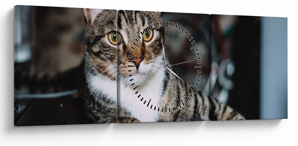 Tablou cu pisica (cu ceas) (90x30 cm)