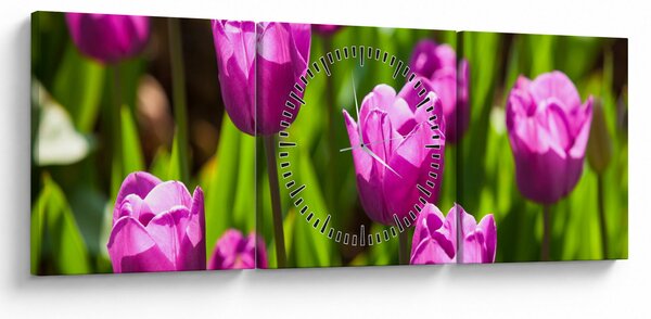 Tablou cu lale pe luncă (cu ceas) (90x30 cm)