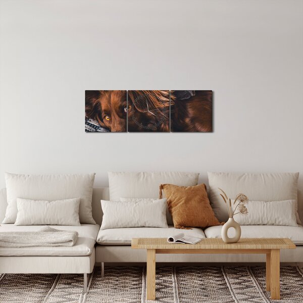 Tablou cu câini dormind (cu ceas) (90x30 cm)