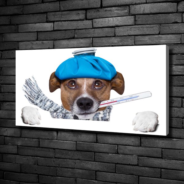 Print pe canvas câine bolnav