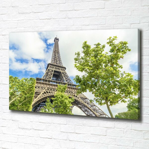 Tablou pe pânză Turnul Eiffel din Paris