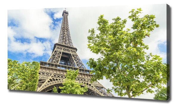 Tablou pe pânză Turnul Eiffel din Paris