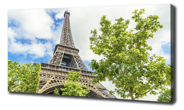 Tablou pe pânză Turnul Eiffel din Paris