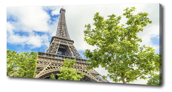 Tablou pe pânză Turnul Eiffel din Paris