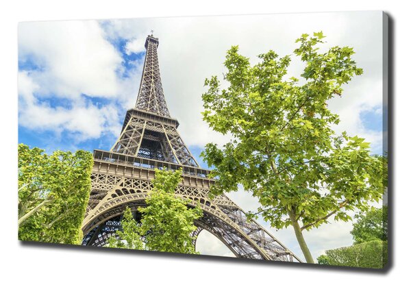 Tablou pe pânză Turnul Eiffel din Paris