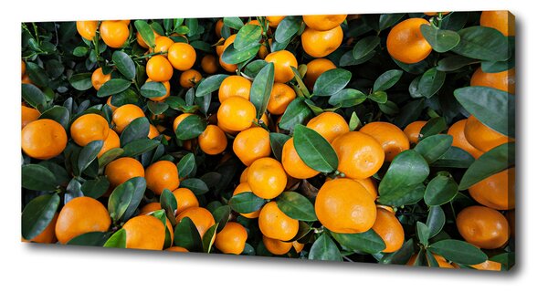 Tablouri tipărite pe pânză mandarine