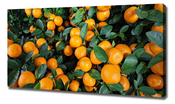 Tablouri tipărite pe pânză mandarine
