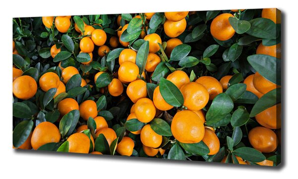 Tablouri tipărite pe pânză mandarine