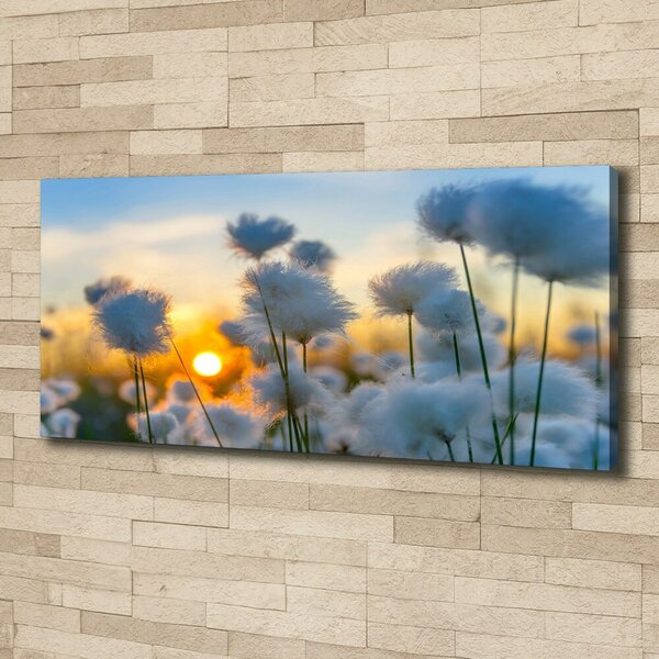 Tablou pe panza canvas Flori Floral alb
