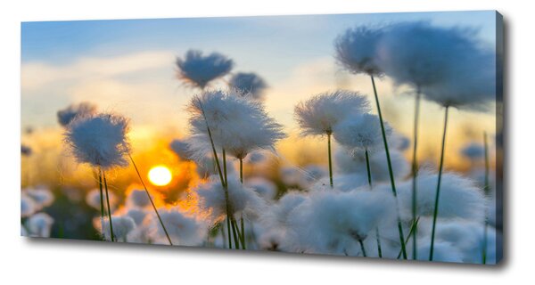 Tablou pe panza canvas Flori Floral alb