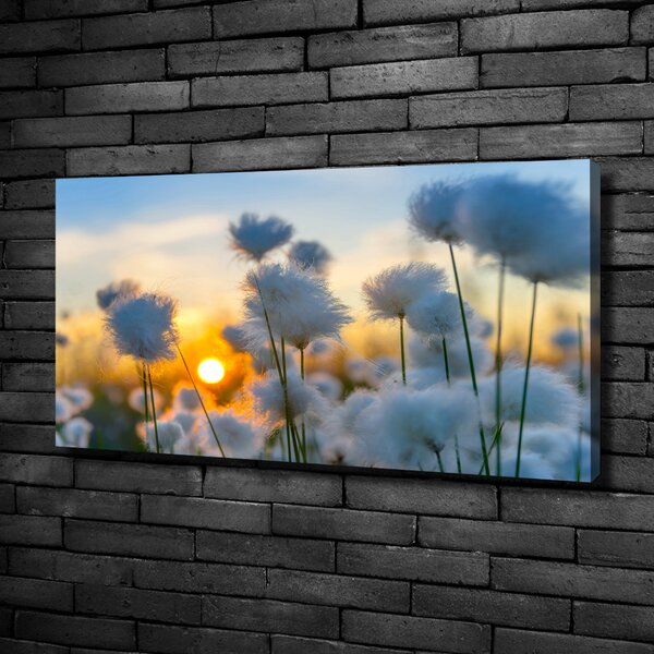 Tablou pe panza canvas Flori Floral alb