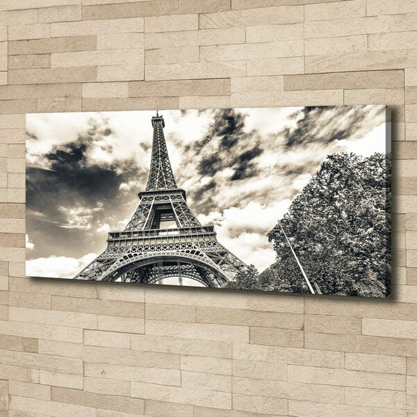 Pictură pe pânză Turnul Eiffel din Paris