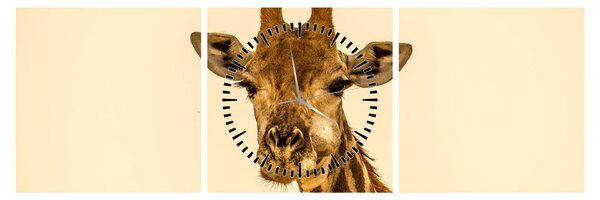 Tablou cu girafe (cu ceas) (90x30 cm)