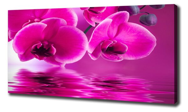 Tablou pe pânză canvas Orhidee