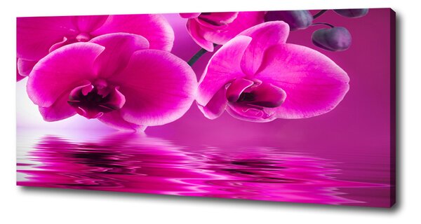 Tablou pe pânză canvas Orhidee