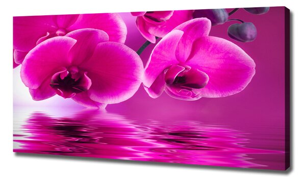 Tablou pe pânză canvas Orhidee