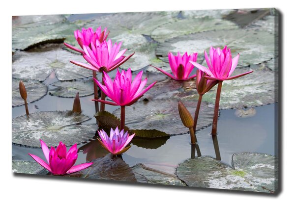 Tablou pe pânză canvas floare de lotus