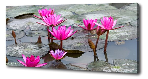 Tablou pe pânză canvas floare de lotus