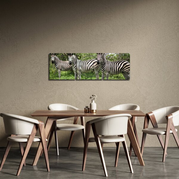 Tablou cu zebre (cu ceas) (90x30 cm)