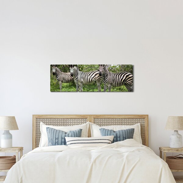 Tablou cu zebre (cu ceas) (90x30 cm)