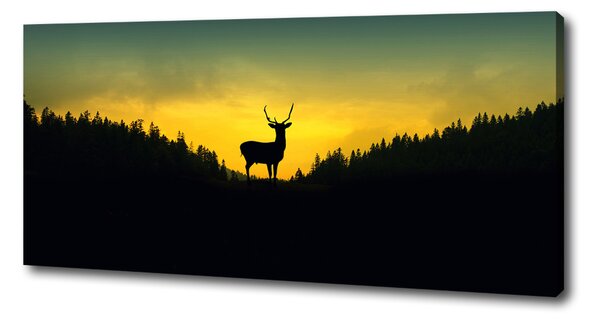Tablou canvas cerb