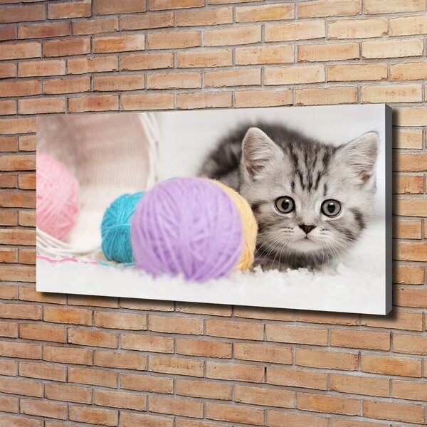 Print pe canvas Cat cu motkami