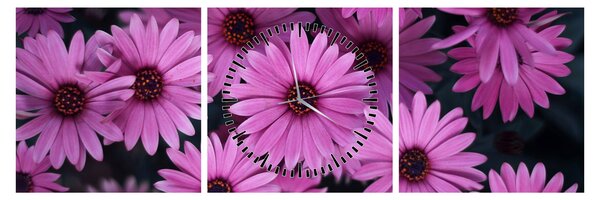 Tablou cu florile roz (cu ceas) (90x30 cm)
